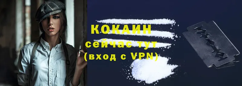 магазин    Короча  Cocaine FishScale 